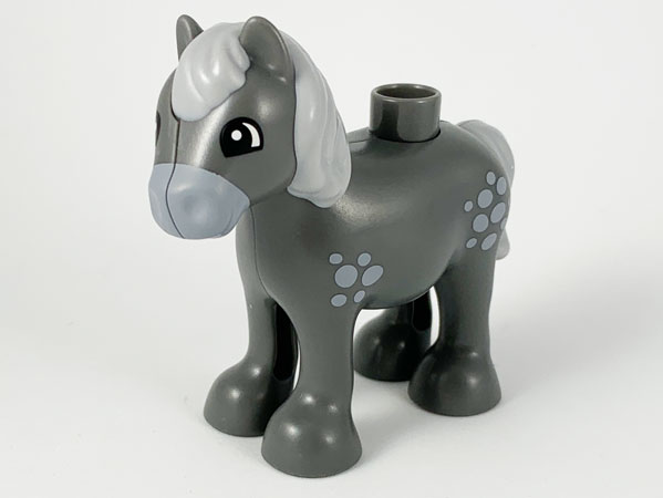 horse05c01pb02