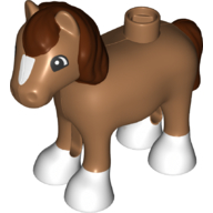 horse05c01pb04