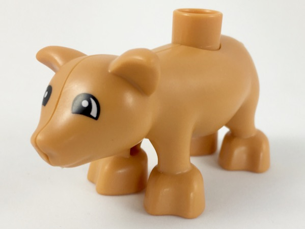 pig03pb03